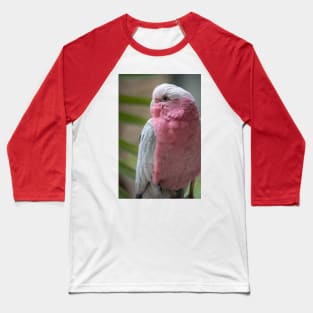 Galah Baseball T-Shirt